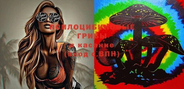 индика Снежинск