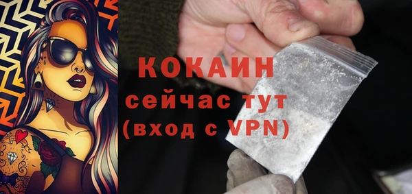 сатива Липки